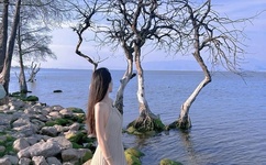 第二天堂在线视频观看